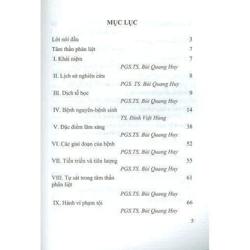 Tâm Thần Phân Liệt - Nguyên Nhân, Chẩn Đoán Và Điều Trị - Hình ảnh 3
