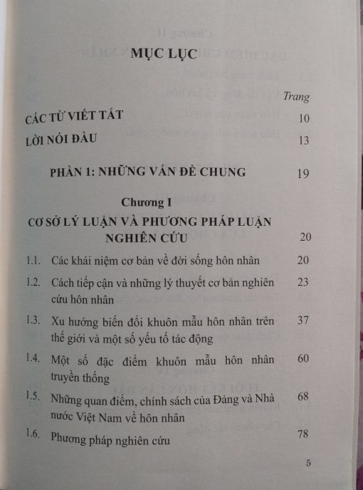Kết hôn và trải nghiệm hôn nhân ở Việt Nam - Hình ảnh 2