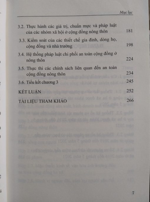 Hành vi lệch chuẩn - vi phạm pháp luật ảnh hưởng đến an toàn cộng nông thôn - Hình ảnh 4