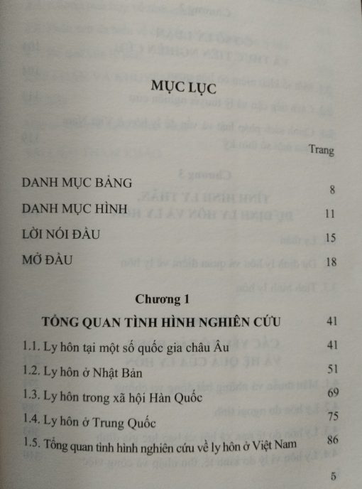 Vấn đề ly hôn trong xã hội Việt Nam hiện đại - Hình ảnh 2