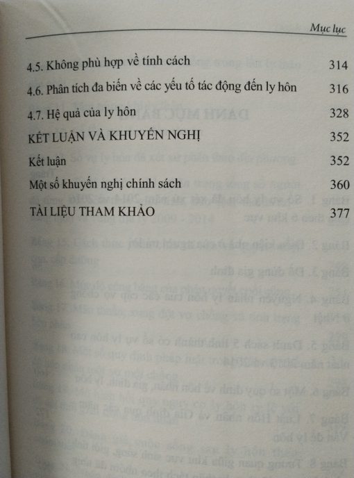 Vấn đề ly hôn trong xã hội Việt Nam hiện đại - Hình ảnh 4