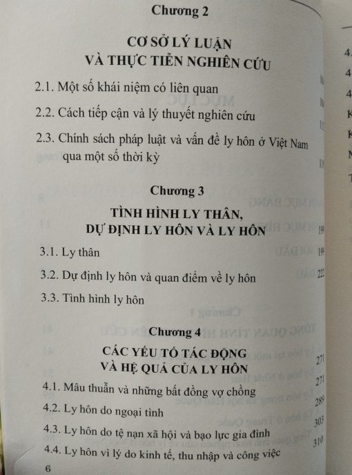 Vấn đề ly hôn trong xã hội Việt Nam hiện đại - Hình ảnh 3
