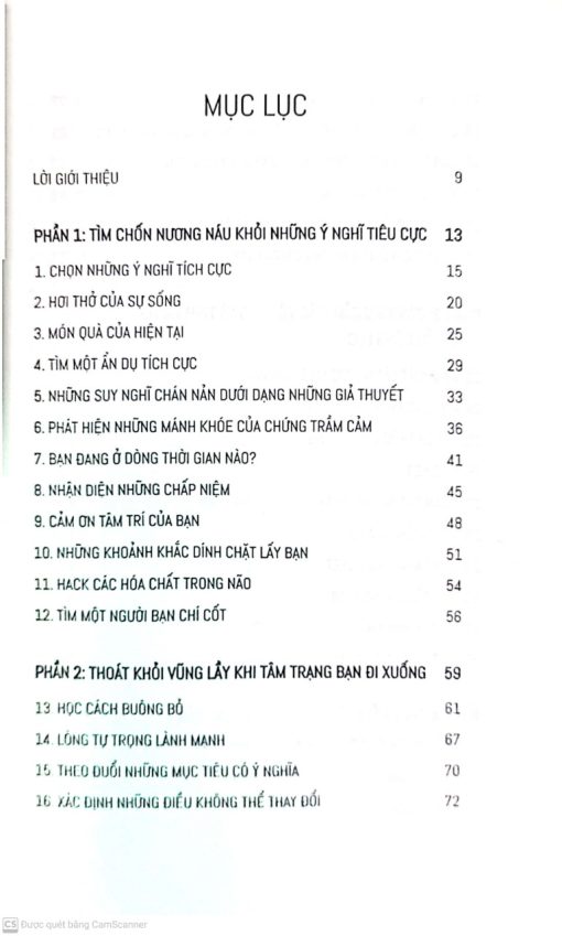 Bộ công cụ đặc trị trầm cảm - Hình ảnh 2