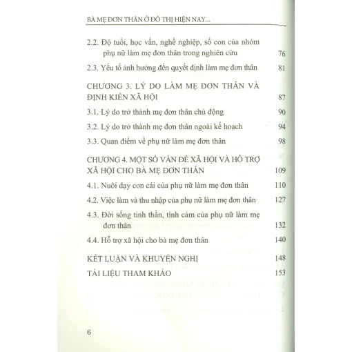 Bà mẹ đơn thân ở đô thị hiện nay - nghiên cứu trường hợp tại thành phố Hà Nội - Hình ảnh 3