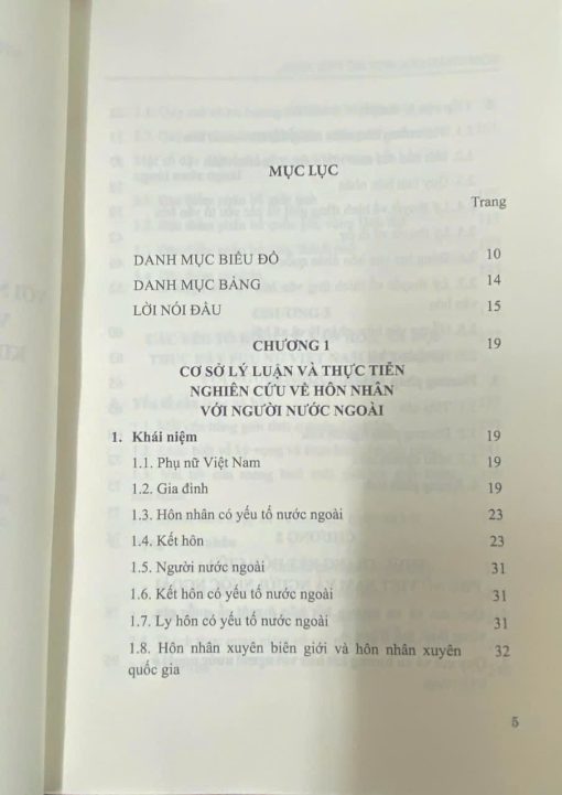 Hôn nhân của phụ nữ Việt Nam với người nước ngoài - Hình ảnh 5
